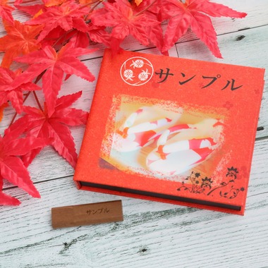 時の記録者が撮影した「アルバムオプション」の写真