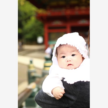 Photographer  Tomoが撮影した「お宮参り」の写真