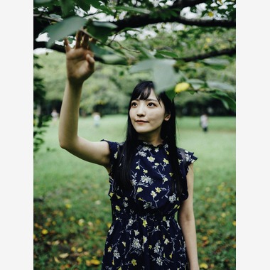 YUが撮影した「」の写真