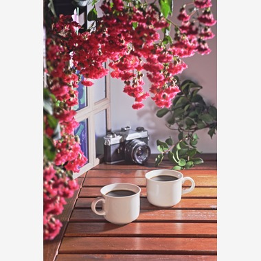 Chihiro Photographyが撮影した「料理撮影」の写真