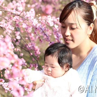 竹内雅俊が撮影した「初節句と初めての梅」の写真