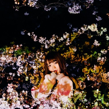 KIRAが撮影した「桜2019」の写真