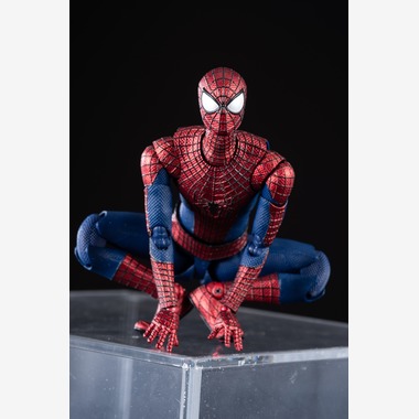 写真屋ごんちゃんが撮影した「figure spider」の写真