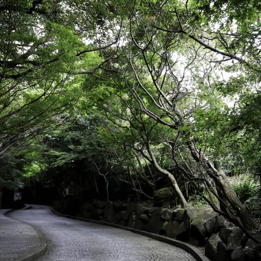 田中　純平が撮影した「風景・建物」の写真