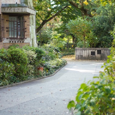 山中菜摘が撮影した「ファミリーフォト」の写真