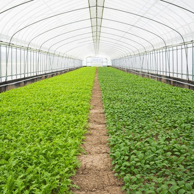 出張撮影TLaboが撮影した「求人用　職場風景の撮影」の写真