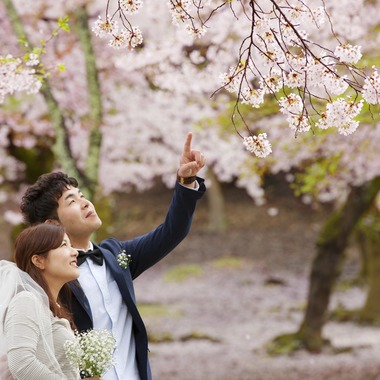 B WORKs PHOTOGRAPHY（丸山  隆史）が撮影した「春フォト」の写真