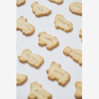 内野拓望が撮影した「料理・ブツ」の写真