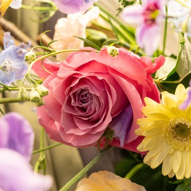 Makoto Nakamuraが撮影した「花」の写真