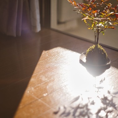 小野友輔が撮影した「物撮り」の写真