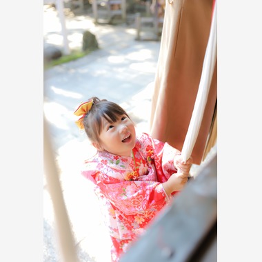 斉藤　ゆか（nico photo)が撮影した「七五三出張」の写真