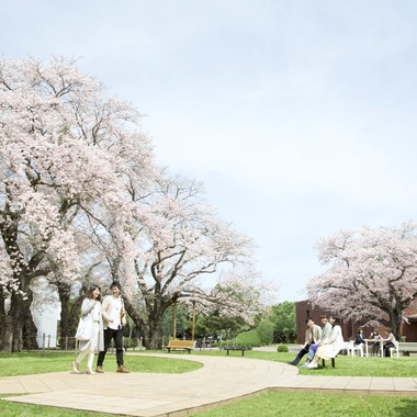 村田わかな広告写真が撮影した「茨城キリスト教大学」の写真
