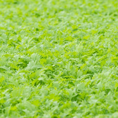 出張撮影TLaboが撮影した「求人用　職場風景の撮影」の写真