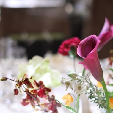 管野　利が撮影した「ウエディング」の写真