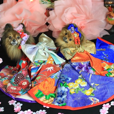 高橋 透（Coo&Sea STUDIO代表）が出張撮影した「お正月撮影会2020@新横浜Coo&Sea STUDIO」の家族写真