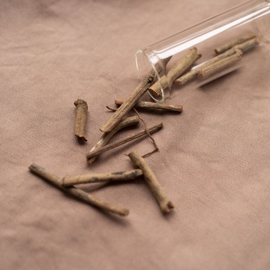 Hamuこども写真館が撮影した「Hamu写真館」の写真