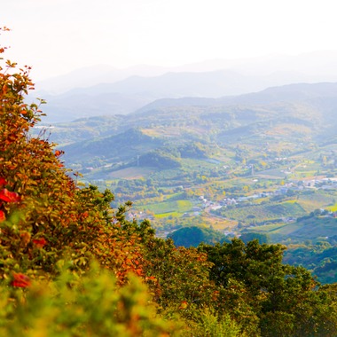 スタジオルクスが撮影した「Landscape Building photo」の写真