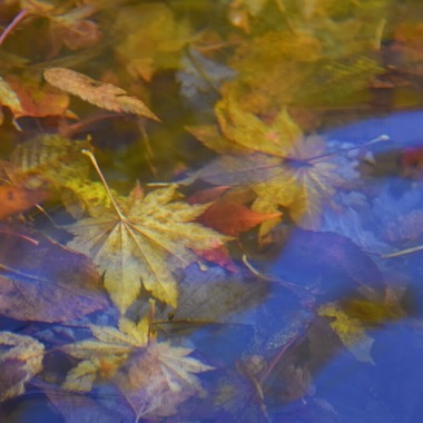 小野友輔が撮影した「山の写真」の写真