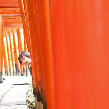 Photographer  Tomoが撮影した「お宮参り」の写真