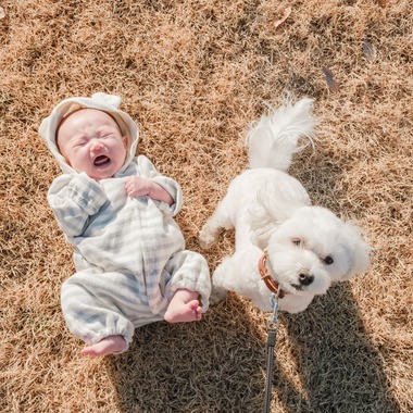 ワイヤリングが出張撮影した「ファミリー」の家族写真