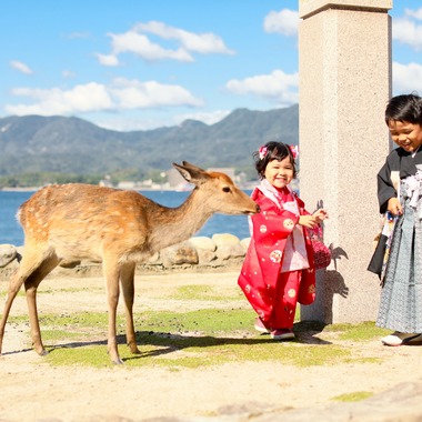 KIKIウェディングが撮影した「宮島七五三」の写真