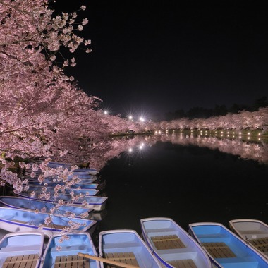 溝口崇が撮影した「風景写真」の写真