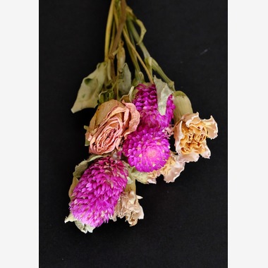 Mid-Village Studioが撮影した「花」の写真