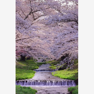 溝口崇が撮影した「風景写真」の写真