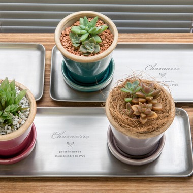 Yoppegraphy Photographic Serviceが撮影した「商品　雑貨」の写真