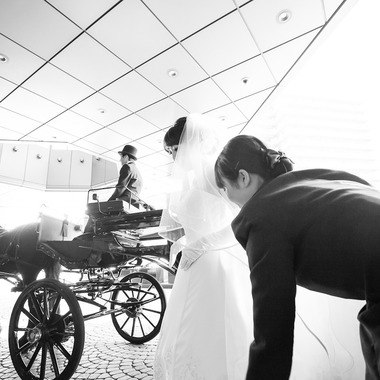 Photo taken by MAKOTO TOCHIKUBO - Various locations