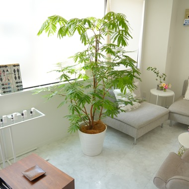 池田尚史が撮影した「店舗、オフィス、サロン、お部屋、物撮り」の写真