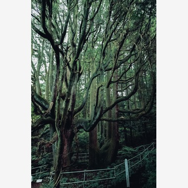 松村颯が撮影した「留学生活」の写真