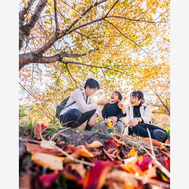 フォトくまが出張撮影した「家族写真」の家族写真