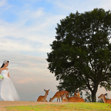 Photo taken by Rev Factory - 