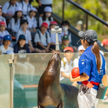 武内ピクチャーズが撮影した「スクールフォト(小学校修学旅行)」の写真