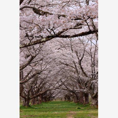 溝口崇が撮影した「風景写真」の写真