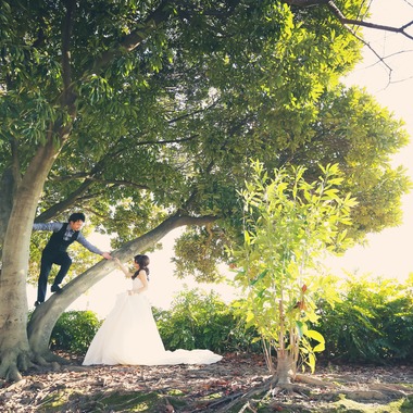 elle pupaが撮影した「愛知」の写真