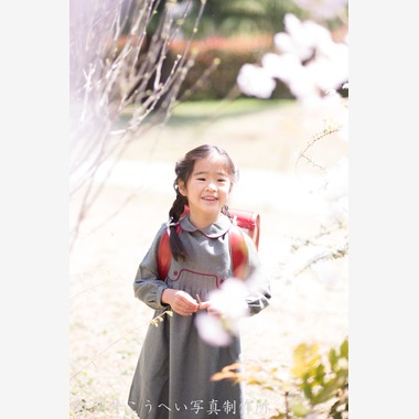 酒井こうへい写真製作所が撮影した「入学式・桜」の写真