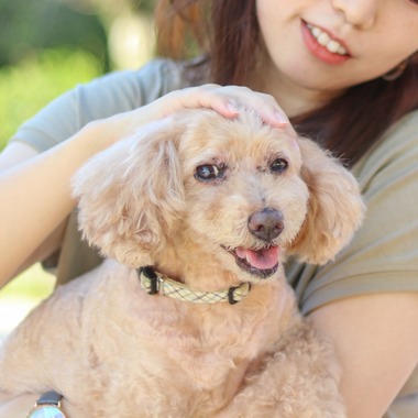 かわもとじゅんいち【Jun3photo】が出張撮影した「ポートレート　ペット　プロフィール」の家族写真