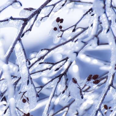 小野友輔が撮影した「山の写真」の写真