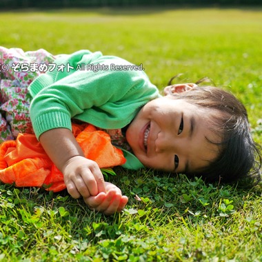 そらまめフォトが撮影した「」の写真