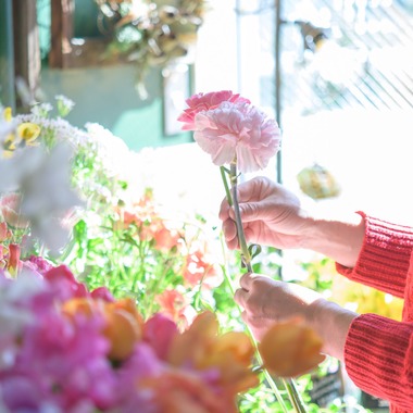 戸澤麻衣が撮影した「お花屋さんの撮影」の写真