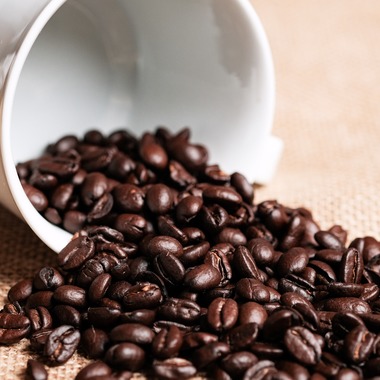 Urabe Masaakiが撮影した「料理等」の写真