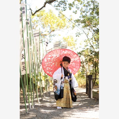 Photographer  Tomoが撮影した「七五三」の写真