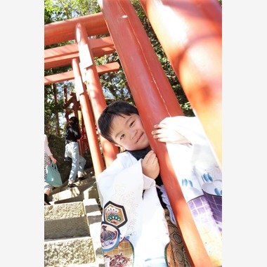 Photographer  Tomoが撮影した「七五三」の写真