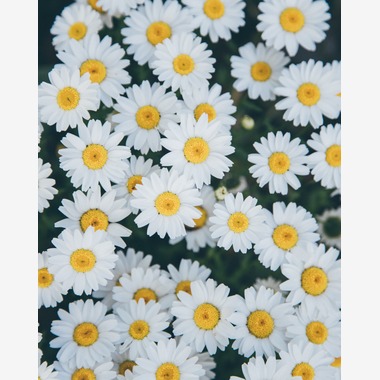 森本海斗が撮影した「食品撮影」の写真