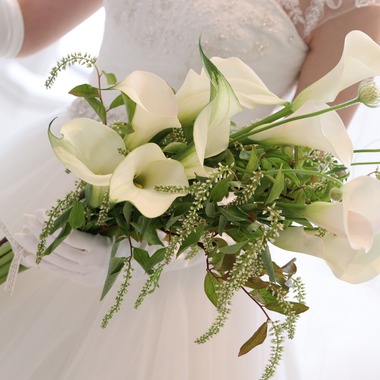 管野　利が撮影した「ウエディング」の写真