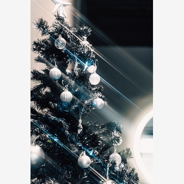 YuKI EXPRESSHOWが撮影した「スナップ」の写真