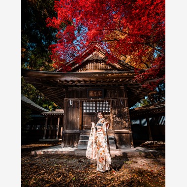 Jemiフォトが撮影した「成人式」の写真