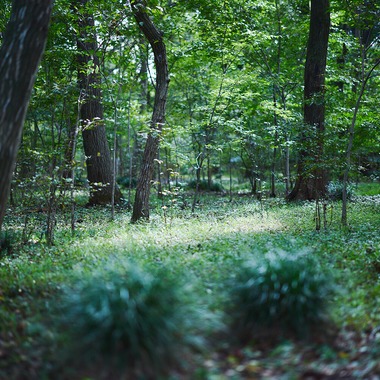 Shun Kanazawaが撮影した「Life Style」の写真